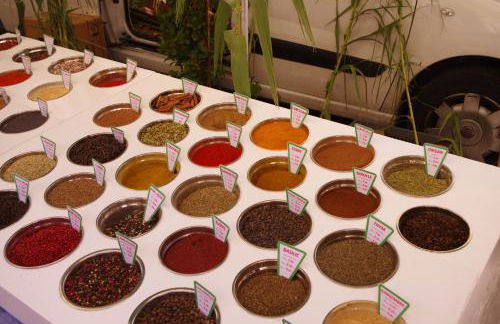 Lei Meissoun - Foto 19