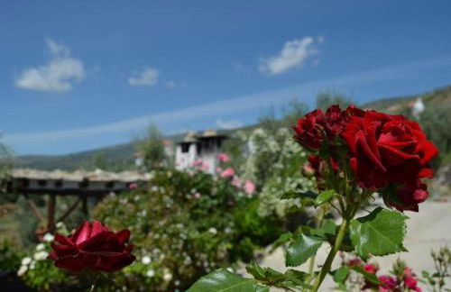 Holiday Home Landhaus mit zwei Schlafzimmern in La Alpujarra by Interhome - Foto 46