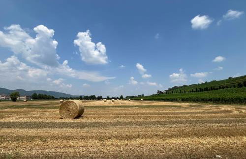 Corte Monticello - Foto 23