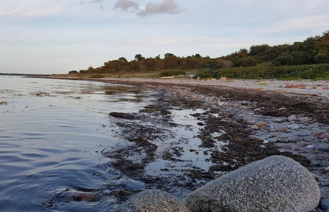 5 Star Holiday Home in Asnaes - Foto 34