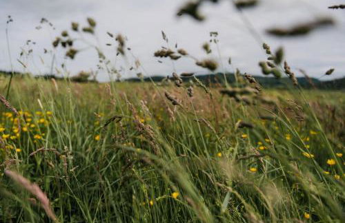 FeWo Vulkaneifelzeit / nahe Nürburgring - Foto 15