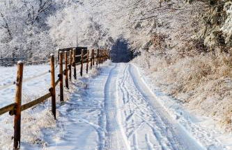 MARKT14 City Apartment Marktplatz Freundenstadt - Foto 3