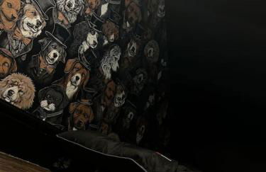 Apothecary Hall - Snowdonia - Photo 10