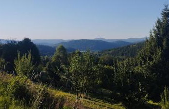 Górska Polana, Stronie Śląskie - Młynowiec - Foto 29