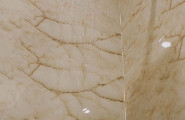 Lime Tree 2 Bhk Apartment Golf Course - Foto 23