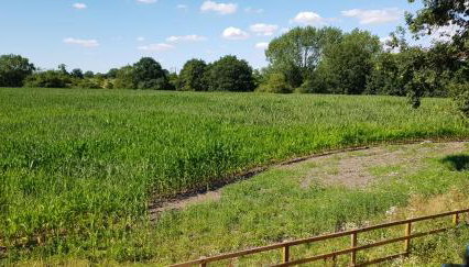 Rookery Lodge - Foto 4