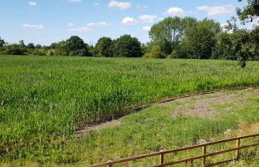 Rookery Lodge - Foto 4