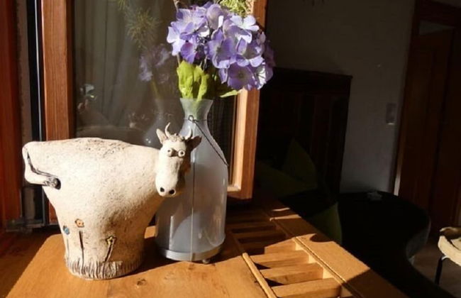 Donebauer - Photo 12