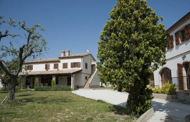 Terra del Sole - Foto 59