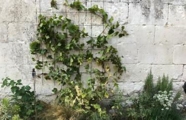 La Tranquillité proche Beauval et Châteaux de la Loire - Foto 21