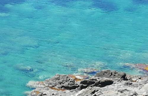 Les pieds dans l'eau ! - Foto 11