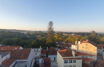 Caldas da Rainha's Green & Brown - Foto 6