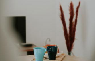 F2 spacieux et lumineux avec cuisine équipée - Foto 1