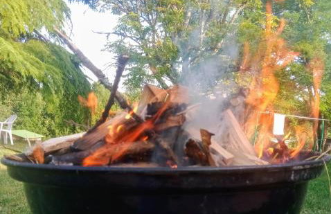 Aux 40 Écus - Gingko - Foto 7