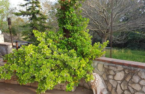 Casa vacanze Villa Tiziana Chalet di campagna - Foto 19