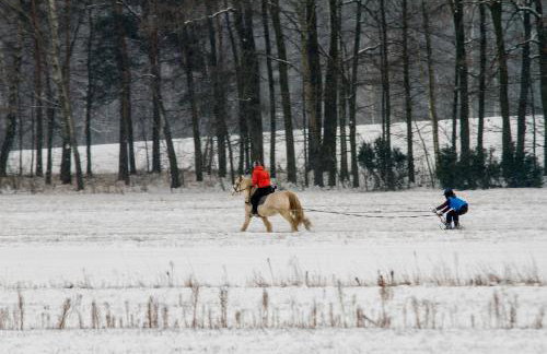 Kolorowe Wzgórze agroturystyka i konie - Foto 23