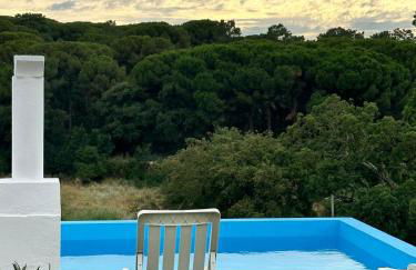 Quinta dos Canais - Photo 57