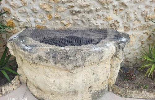 Gîte des Vignerons - Foto 12