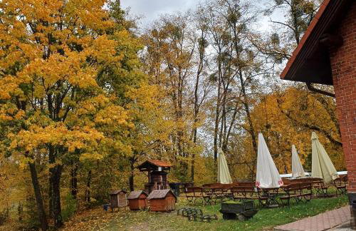 Domek u Bartnika z basenem na Mazurach - Foto 30