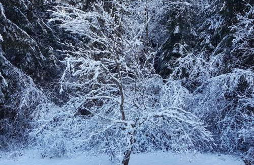 Appartement cosy 2-4 pers avec terrasse et parking - FR-1-629-32 - Photo 19