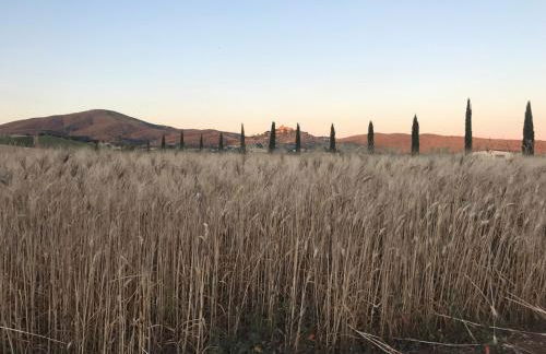 Il casale degli olivi - Foto 10