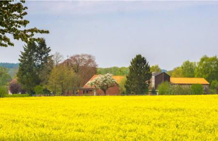Gästehaus Bleckmar - Foto 7