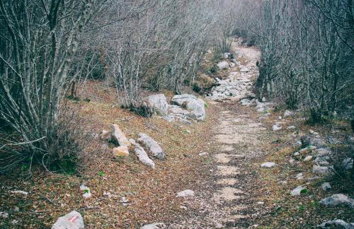 Apartments Katarina Porat - Foto 62