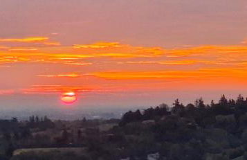 Corina's Place Bologna Home - Photo 39