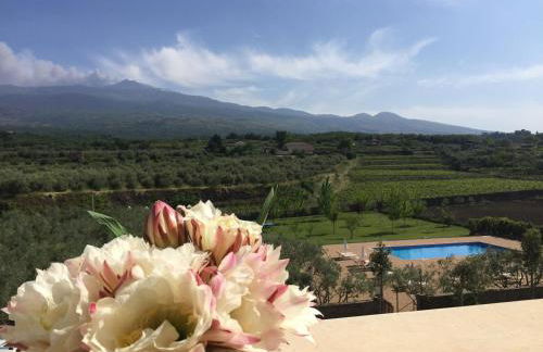 Feudo Vagliasindi -Wine Experience- - Foto 50