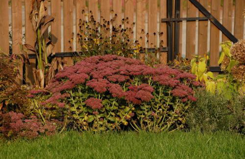 Białowieski Dworek do 10 Gości - Foto 37