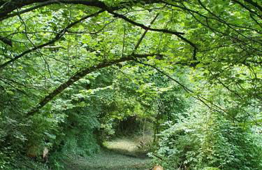 LA TANA DEL PICCHIO - Photo 35