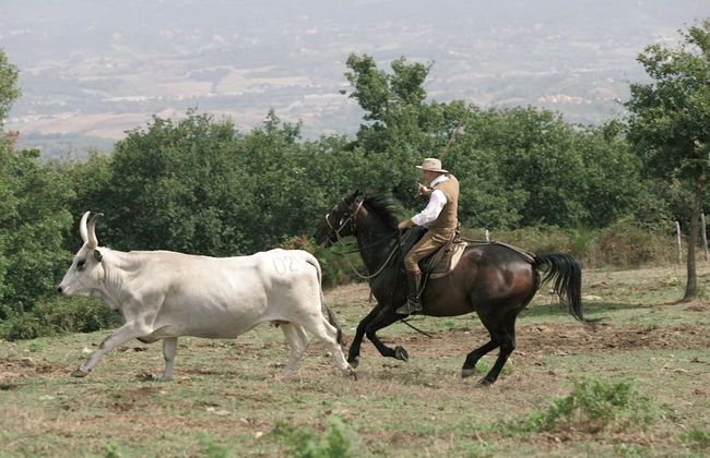 Agriturismo La Forra - Foto 32