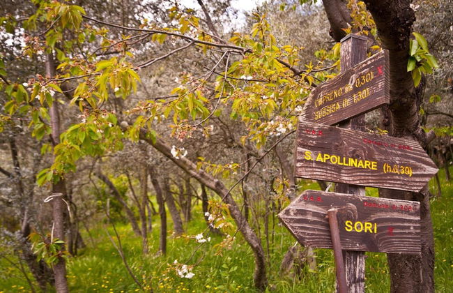 Il Giardino di Fe - Foto 33