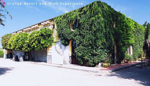 Tenuta del Gelso - Foto 5