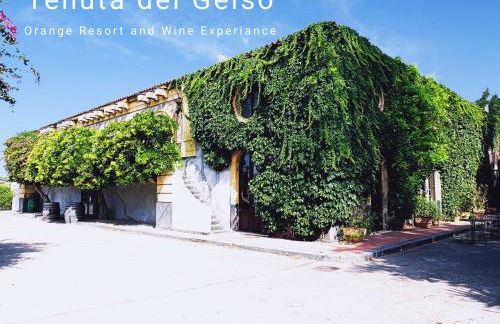 Tenuta del Gelso - Foto 5