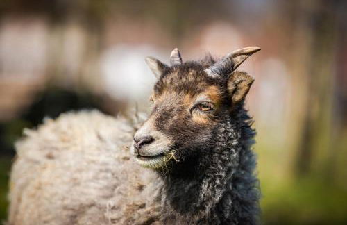 The Farm at Avebury - Foto 24