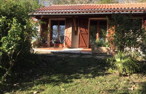 Le gîte de Gascogne - Photo 50