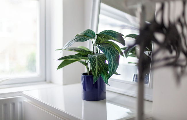 Spacious & Chic 3bed House in London - Photo 34