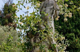 Villa il Galero - Foto 39