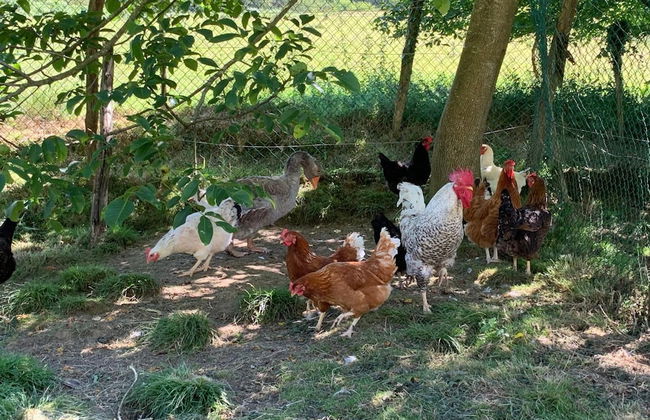 Agroturismo Urresti - Foto 39