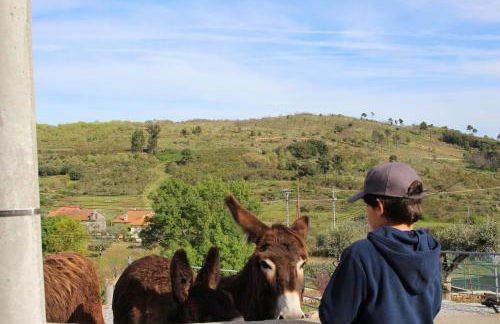 Casas do Aidro - Foto 11
