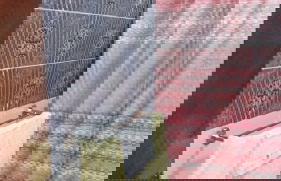 Montgomery Brothers estate - Foto 8