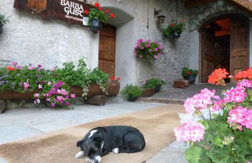 Agriturismo Barba Gust - Foto 21