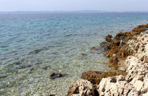 Secluded fisherman's cottage Cove Cerenje, Pasman - 8477 - Foto 22