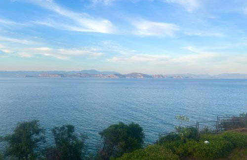 Apartment Xenia - Photo 7