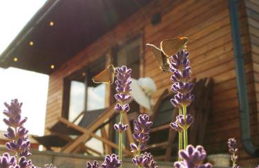 Przewietrzona Głowa - Foto 33