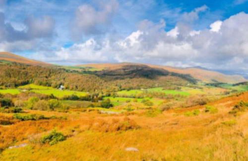 Combe-n-Sea - Foto 27