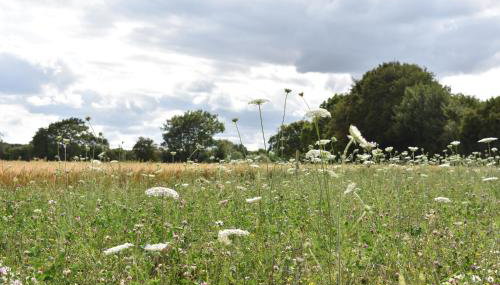 The Fieldbarns at Bullocks Farm - Foto 3