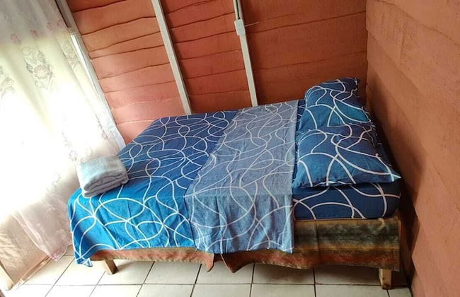 Millar de Aves - Foto 5