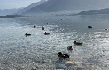 Delfina Home terrazzo 013239-CNI-00132 - Foto 39